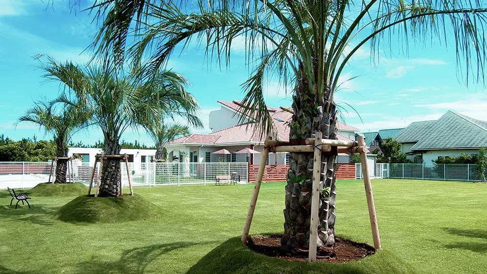 写真：ドッグラン