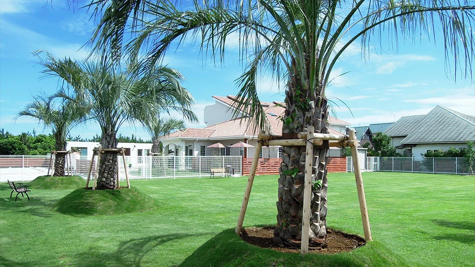 写真：ドッグラン