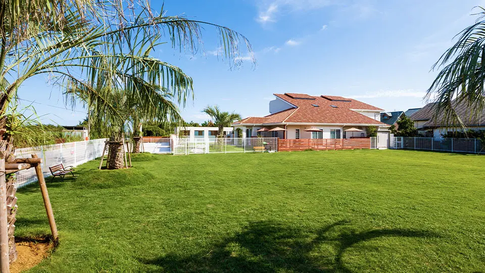 写真：ドッグラン