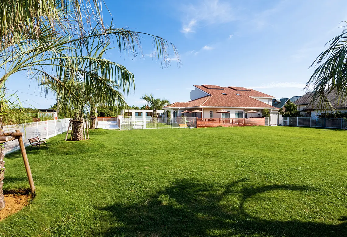写真：白幡・井之内海水浴場