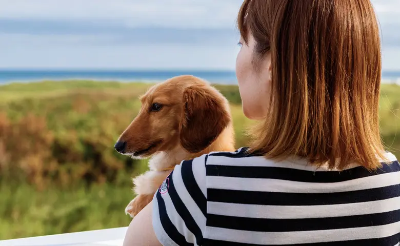 写真：屋上展望スペース付きのお部屋