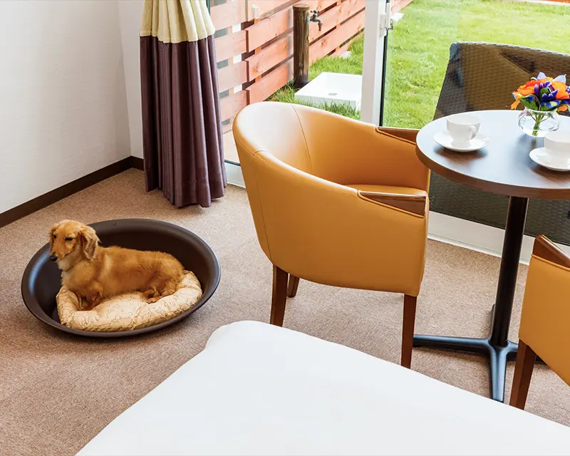 写真：プライベートドッグラン付き客室